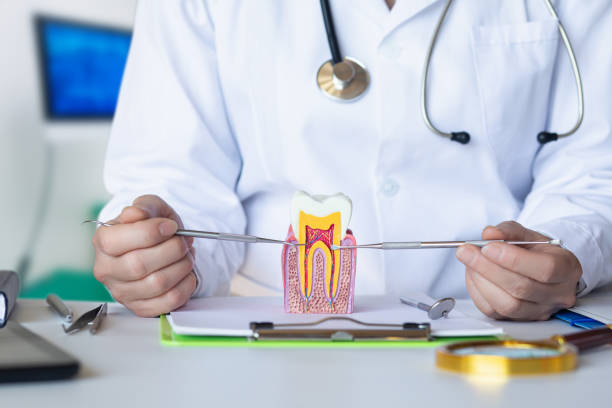 Best Walk-In Emergency Dentist in Minooka, IL